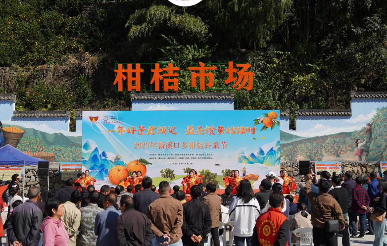 徽州风物推荐第五期:地理标志农产品—三口柑桔
